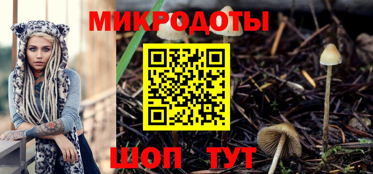 Галлюциногенные грибы Psilocybe  Вход с VPN  Красногорск  Галлюциногенные грибы мухоморы 