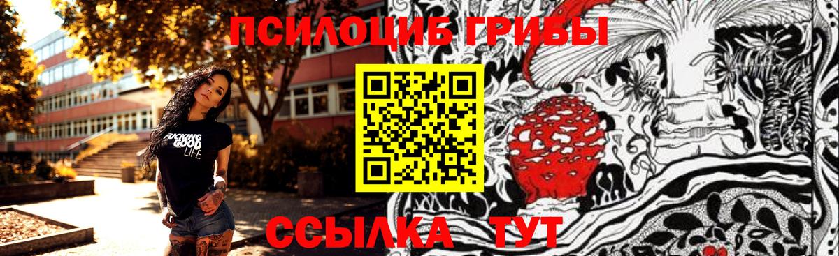 Псилоцибиновые грибы GOLDEN TEACHER Красногорск